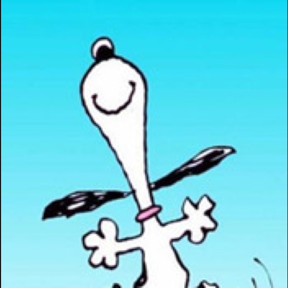 Meet your Posher, Lynn